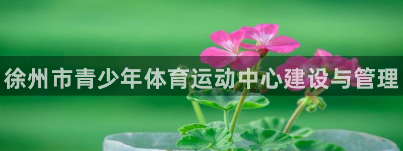 公海赌赌船官方正版app神州:徐州市青少年体育运动中心建设与