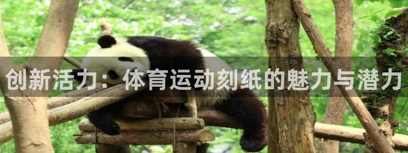 公海赌赌船官网下载娱乐:创新活力:体育运动刻纸的魅力与潜力