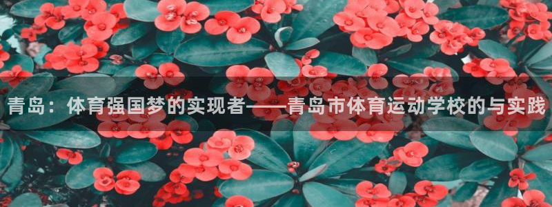 公海赌赌船官方正版app娱乐:青岛:体育强国梦的实现者——青