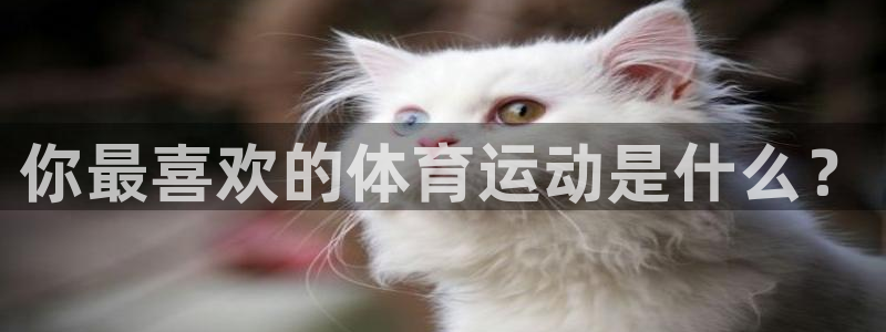 公海赌赌船官网下载招商电话地址是多少:你最喜欢的体育运动是什